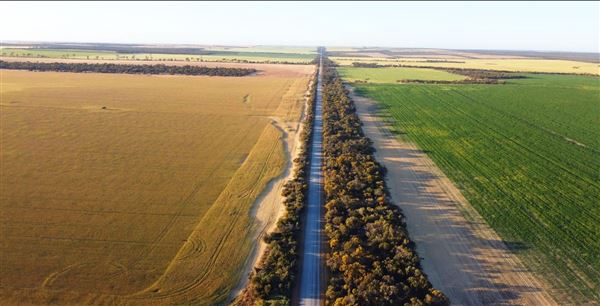 Wheatbelt Region (20/09/2024)