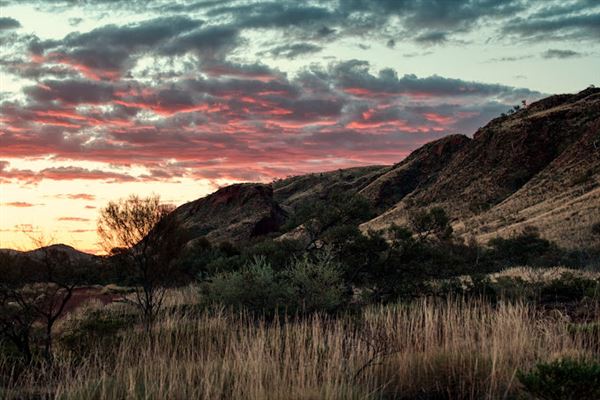 Cheela Plains Station (23/10/2024)