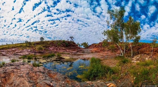 Cheela Plains Station (23/10/2024)