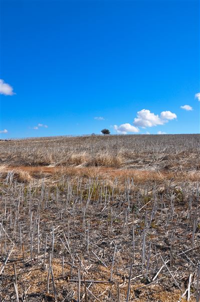Chapman Valley (28/10/2024 - Credits: Chris Veerhuis)