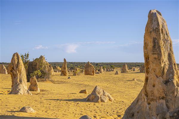 Pinnacles - Nambung National Park (17/01/2025 - Credits: Tourism Australia)