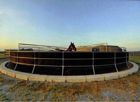 Gold Front Breeding & Racing (28/01/2025)