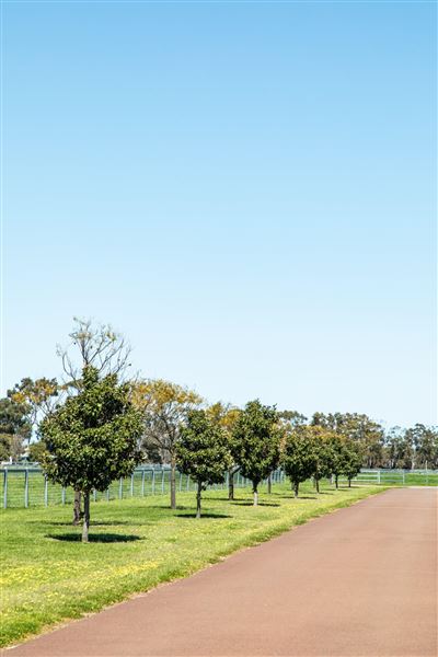 Gold Front Breeding & Racing (28/01/2025)