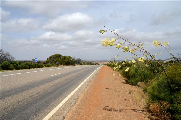 Mt Monger Road Area (26/03/2025)