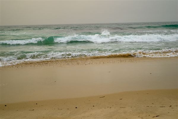 Cottesloe Beach (20/05/2025 - Credits: Xander Kabat)