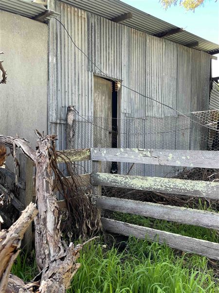 Shearing Shed @ Duke's Vineyard (28/06/2025 - Credits: Sarah Date)