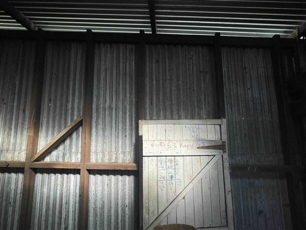 Shearing Shed @ Duke's Vineyard (28/06/2025 - Credits: Sarah Date)