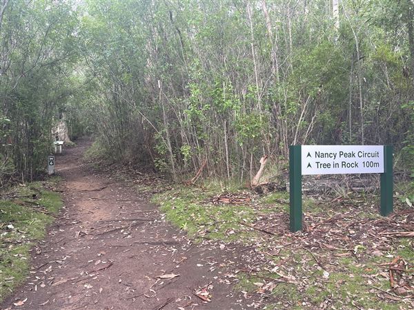 Porongorup National Park (4/07/2025 - Credits: Anika Fourie)
