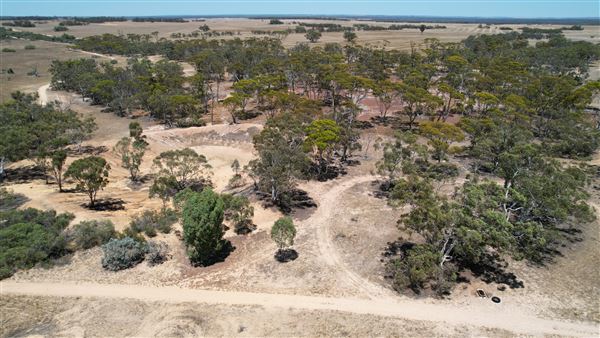 Coorow Farm (1/01/2025 - Credits: Chris Pryor, Tracy Izzard and Leonie Hull)
