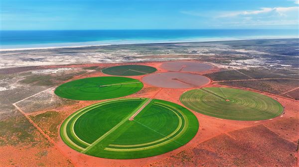 Pardoo Wagyu Station (10/06/2025 - Credits: submitted by: Monica Chetty)
