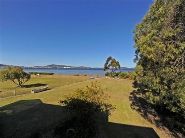 Albany Suburbia (15/10/2025)