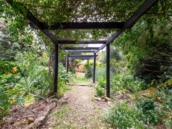 Shawlilly House (14/11/2024 - Credits: submitted by: Laia Carre)