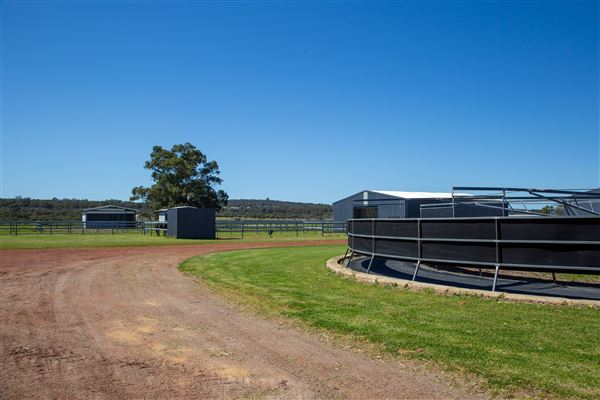 Gold Front Breeding & Racing (11/03/2026 - Credits: Louise Brady)