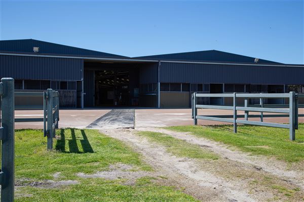 Gold Front Breeding & Racing (11/03/2026 - Credits: Louise Brady)