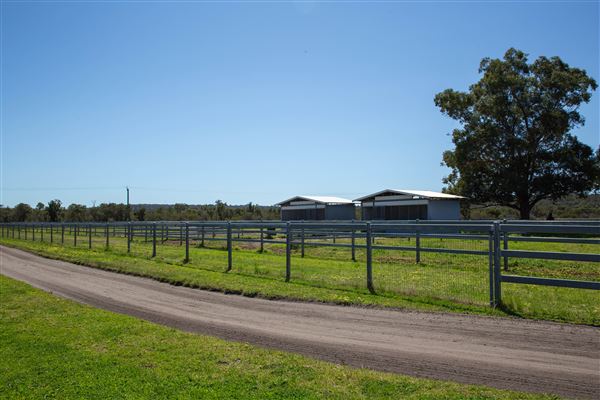 Gold Front Breeding & Racing (11/03/2026 - Credits: Louise Brady)