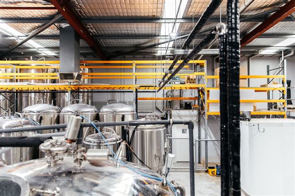Limestone Coast Brewery (1/05/2026 - Credits: Limestone Coast Malaga)