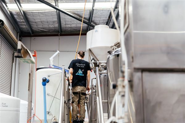 Limestone Coast Brewery (1/05/2026 - Credits: Limestone Coast Malaga)