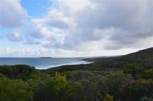 Augusta (18/03/2015)
