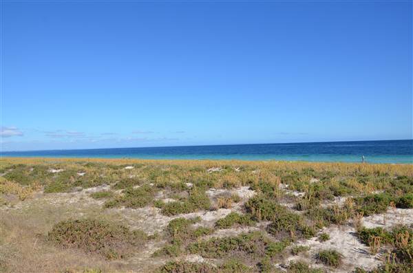 Busselton - Busselton coastline (19/03/2015)