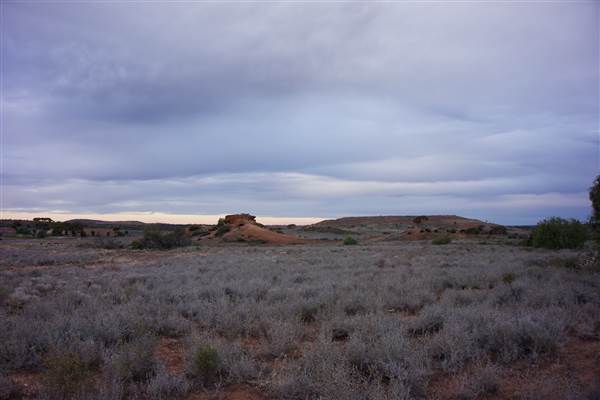 Coolgardie Outskirts (19/03/2015 - Credits: Tim Burns)