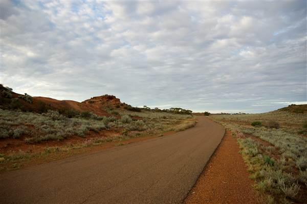 Coolgardie Outskirts (19/03/2015 - Credits: Tim Burns)