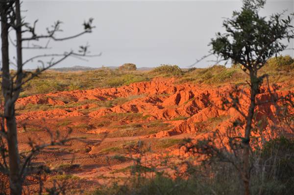 Karratha Surrounds - Pilbara (21/03/2015)