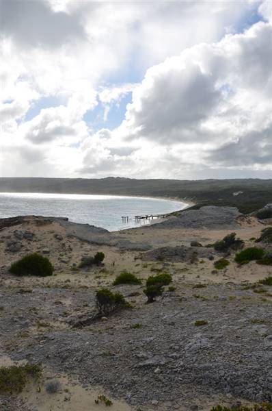 Hamelin Bay (23/03/2015)
