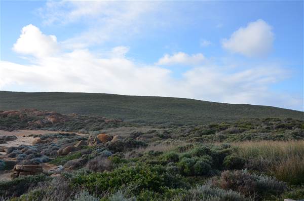 Cape Leeuwin (23/03/2015)