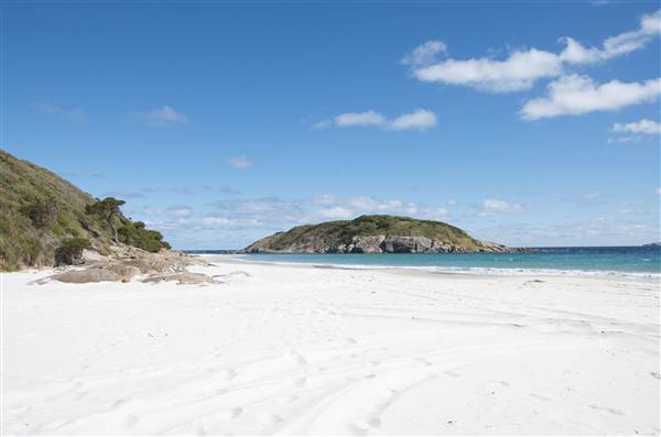 Shelter Island and beach, Albany (24/03/2015)