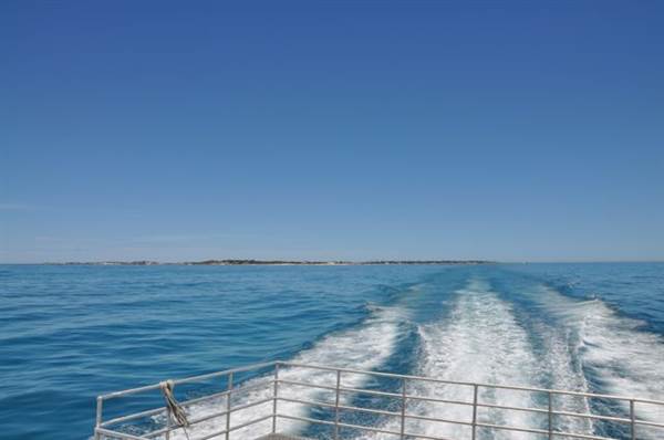 Rottnest Island (24/03/2015)