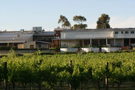 Sandalford Vineyards (24/03/2015)