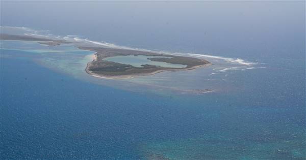 Abrolhos Islands - West Wallabi Island (15/12/2015 - Credits: Chris Veerhuis)