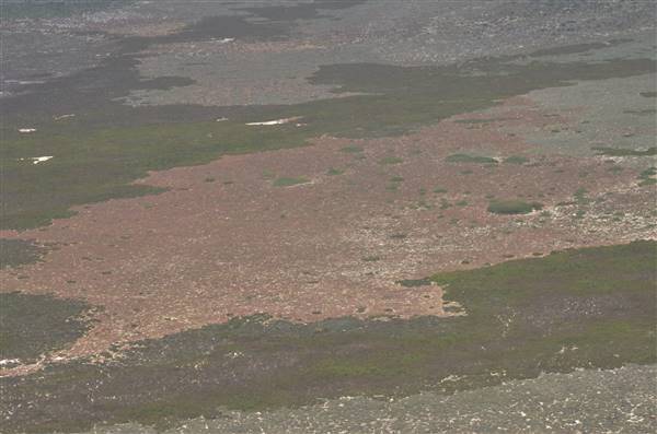 Abrolhos Islands - West Wallabi Island (15/12/2015 - Credits: Chris Veerhuis)
