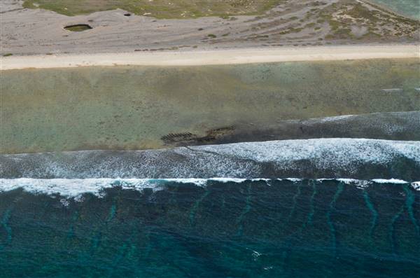 Abrolhos Islands - Pelsaert Island (15/12/2015)