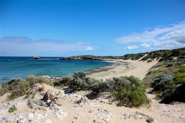 Cape Peron - Rockingham - from land (21/12/2015 - Credits: Chris Veerhuis)