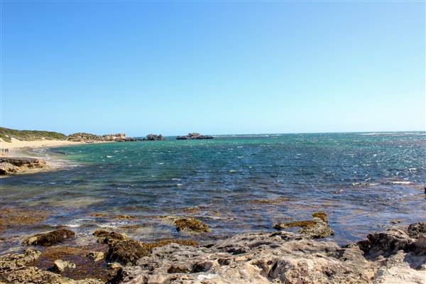 Cape Peron - Rockingham - from land (21/12/2015 - Credits: Chris Veerhuis)