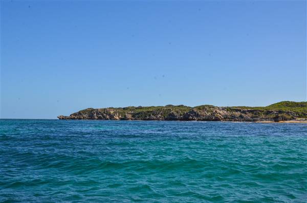 Garden Island - Collins Point - from water (22/12/2015 - Credits: Chris Veerhuis)
