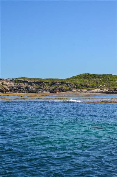 Garden Island - Collins Point - from water (22/12/2015 - Credits: Chris Veerhuis)