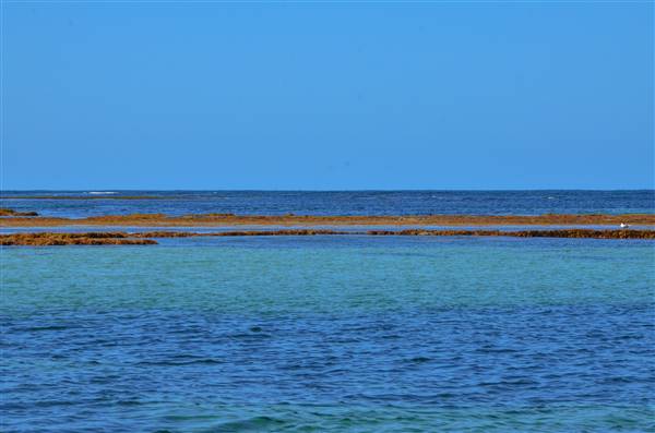 Garden Island - Point Atwick - North and South Bay from Water (22/12/2015 - Credits: Chris Veerhuis)