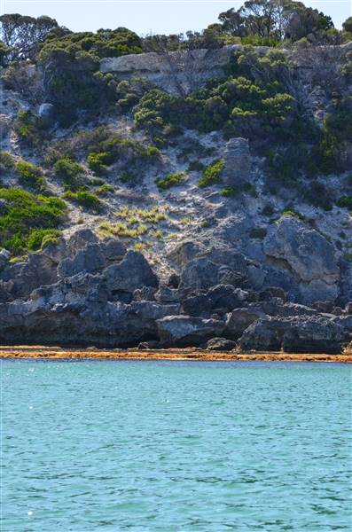 Garden Island - Calista Point - from water (22/12/2015 - Credits: Chris Veerhuis)