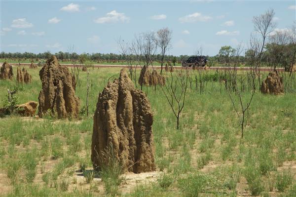 Derby - Landscapes - Near Wilare (14/07/2016 - Credits: Tim Burns)