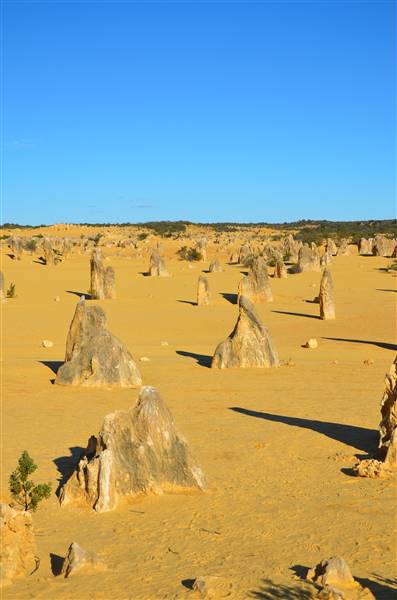 Pinnacles - Nambung National Park (27/06/2016 - Credits: Chris Veerhuis)