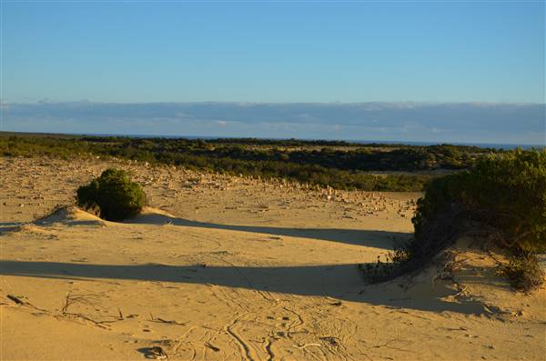 Pinnacles - Nambung National Park (27/06/2016 - Credits: Chris Veerhuis)