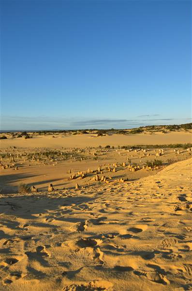 Pinnacles - Nambung National Park (27/06/2016 - Credits: Chris Veerhuis)