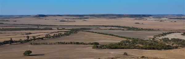Chapman Valley - Spillman Property, Chapman Rd. (2/05/2017 - Credits: Chris Veerhuis)