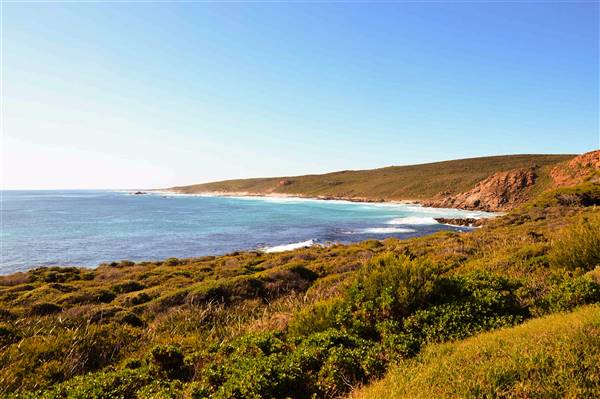 Cape Naturaliste - Sugar Loaf (19/06/2017 - Credits: Duncan Jones)