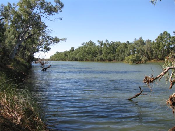 Gascoyne River (16/11/2017 - Credits: Courtesy of Gascoyne Junction Community Resource Centre)