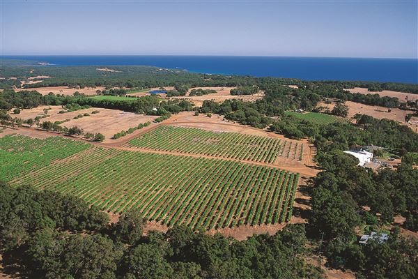 Wise Wines- Eagle Bay (8/02/2018 - Credits: Tourism WA)