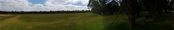 Mingah Mia Family Farm - This is the front paddock with a trough. It's like a giant oval with trees around the edges except where the fence between us and the neighbours runs. (7/10/2018 - Credits: Jo Jackson King)