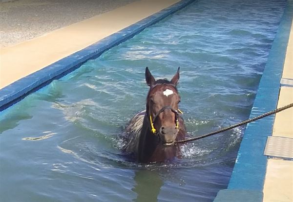 Kalgoorlie-Boulder Racing Club (1/09/2020 - Credits: Google Search. Images may be subject to Copyright)